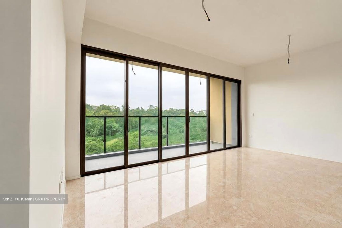 Pinetree Hill (D21), Condominium #638255411
